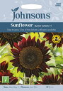 【種子】Johnsons Seeds Sunflower Black Magic F1 サンフラワー ブラック マジック F1 ジョンソンズシード