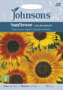 yqzJohnsons Seeds Sunflower AUTUMN BEAUTY Tt[ I[^Er[eB[ W\YV[h