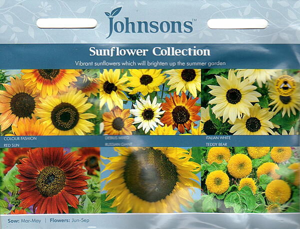 【種子】Johnsons Seeds Sunflower collection サンフラワー・コレクション ジョンソンズシードのサムネイル
