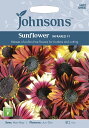 yqzJohnsons Seeds Sunflower INFRARED F1 Tt[ Ctbh F1 W\YV[h