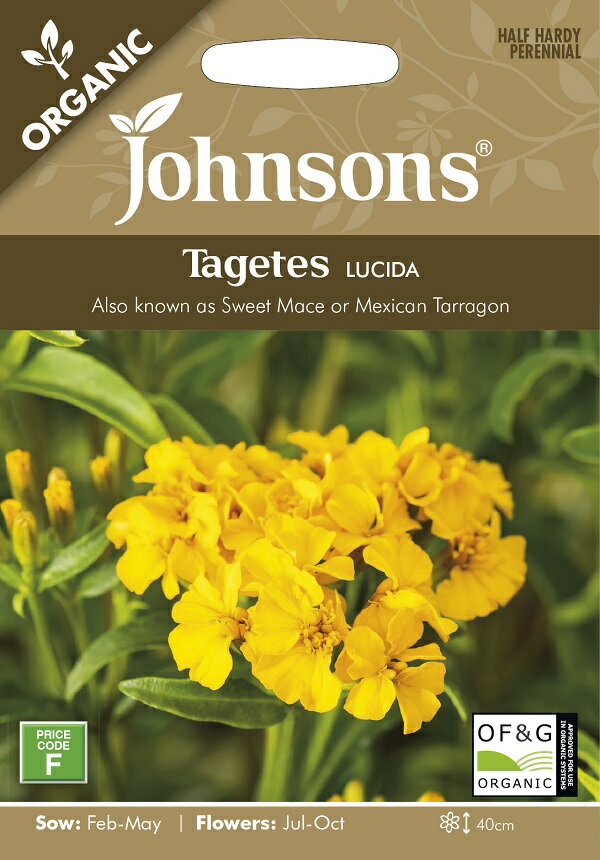 Johnsons Seeds ORGANIC Tagetes LUCIDA オーガニック タゲテス ルシーダ ジョンソンズシード