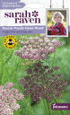 yqzJohnsons Seeds Sarah Raven Cut flowers & gorgeous gardens Daucus Purple Kisses Mixed TECu Jbgt[Y _ENXEp[vELbV[YE~bNX W\YV[h