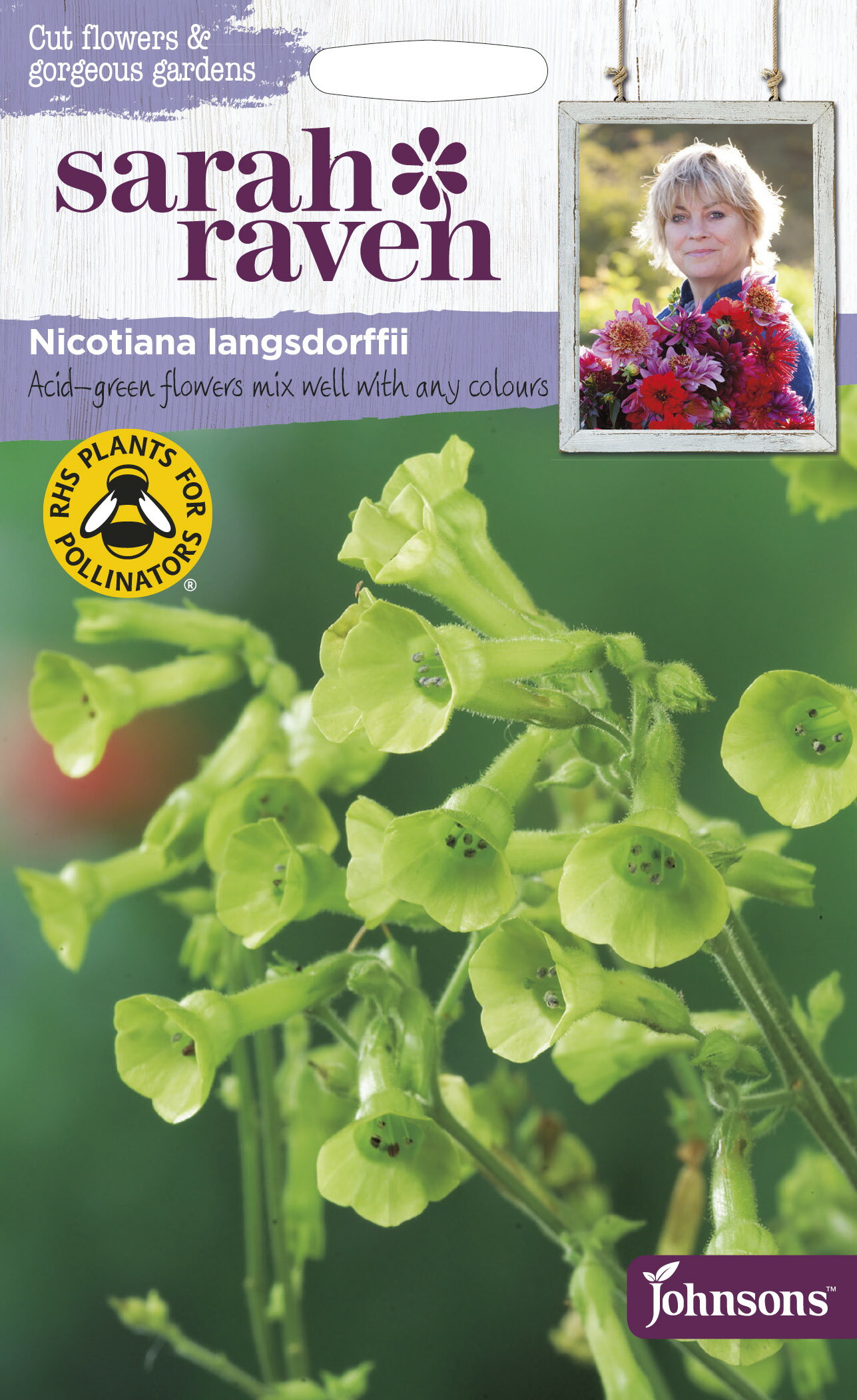 【種子】Johnsons Seeds Sarah Raven Cut flowers & gorgeous gardens Nicotiana langsdorffii サラ・レイブン カットフラワーズ ニコチアナ ハナタバコ ラングスドリフ ジョンソンズシード