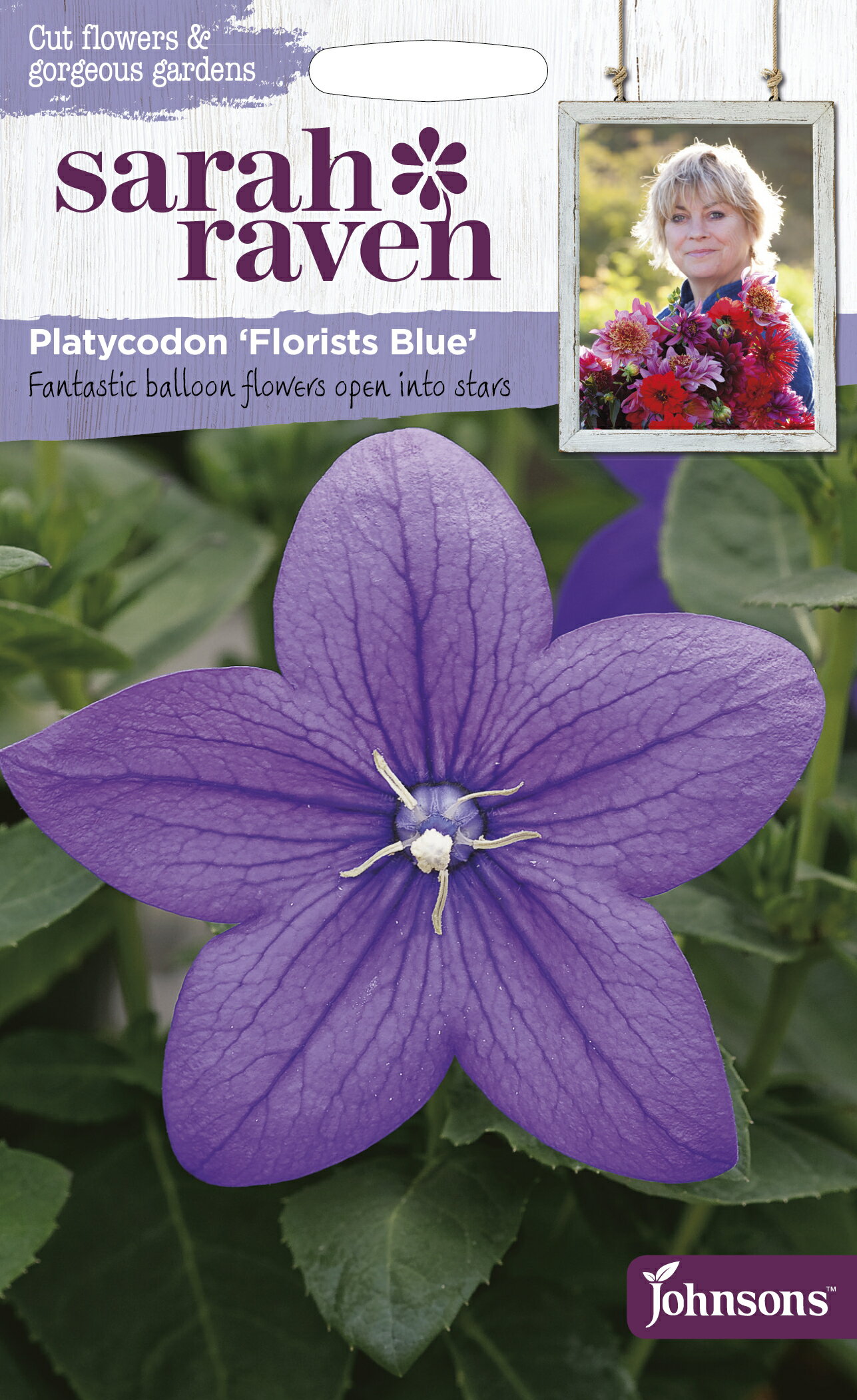 【種子】Johnsons Seeds Sarah Raven Cut flowers & gorgeous gardens Platycodon Florists Blue サラ・レイブン・カットフラワーズ プラティコドン 桔梗 フローリスツ・ブルー ジョンソンズシ…