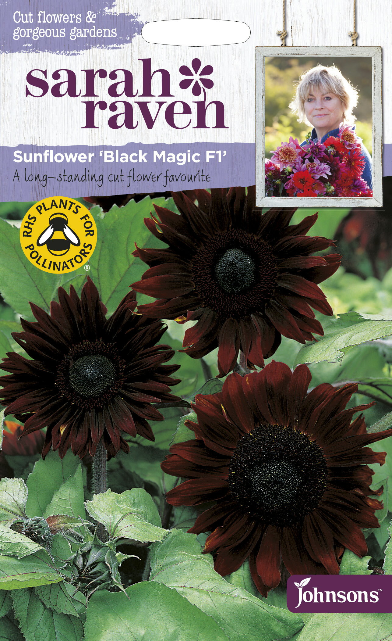 【種子】Johnsons Seeds Sarah Raven Cut flowers & gorgeous gardens Sunflower Black Magic F1 サラ・レイブン カットフラワーズ サンフラワー（ひまわり） ブラック・マジック・F1 ジョンソンズシード