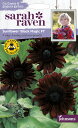 Johnsons Seeds Sarah Raven Cut flowers & gorgeous gardens Sunflower Black Magic F1 サラ・レイブン カットフラワーズ サンフラワー（ひまわり） ブラック・マジック・F1 ジョンソンズシード