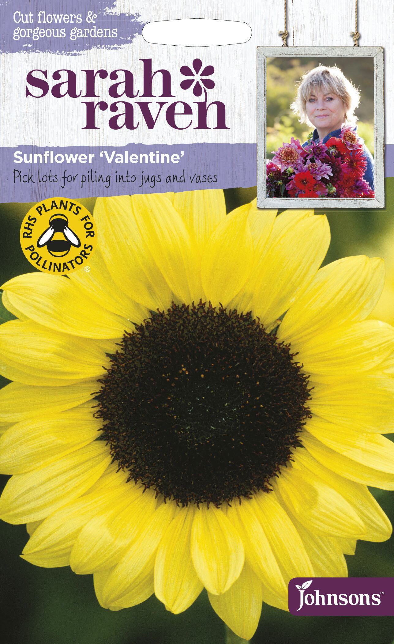 【種子】Johnsons Seeds Sarah Raven Cut flowers & gorgeous gardens Sunflower Valentine サラ・レイブン カットフラワーズ サンフラワー ヴァレンタイン ジョンソンズシード