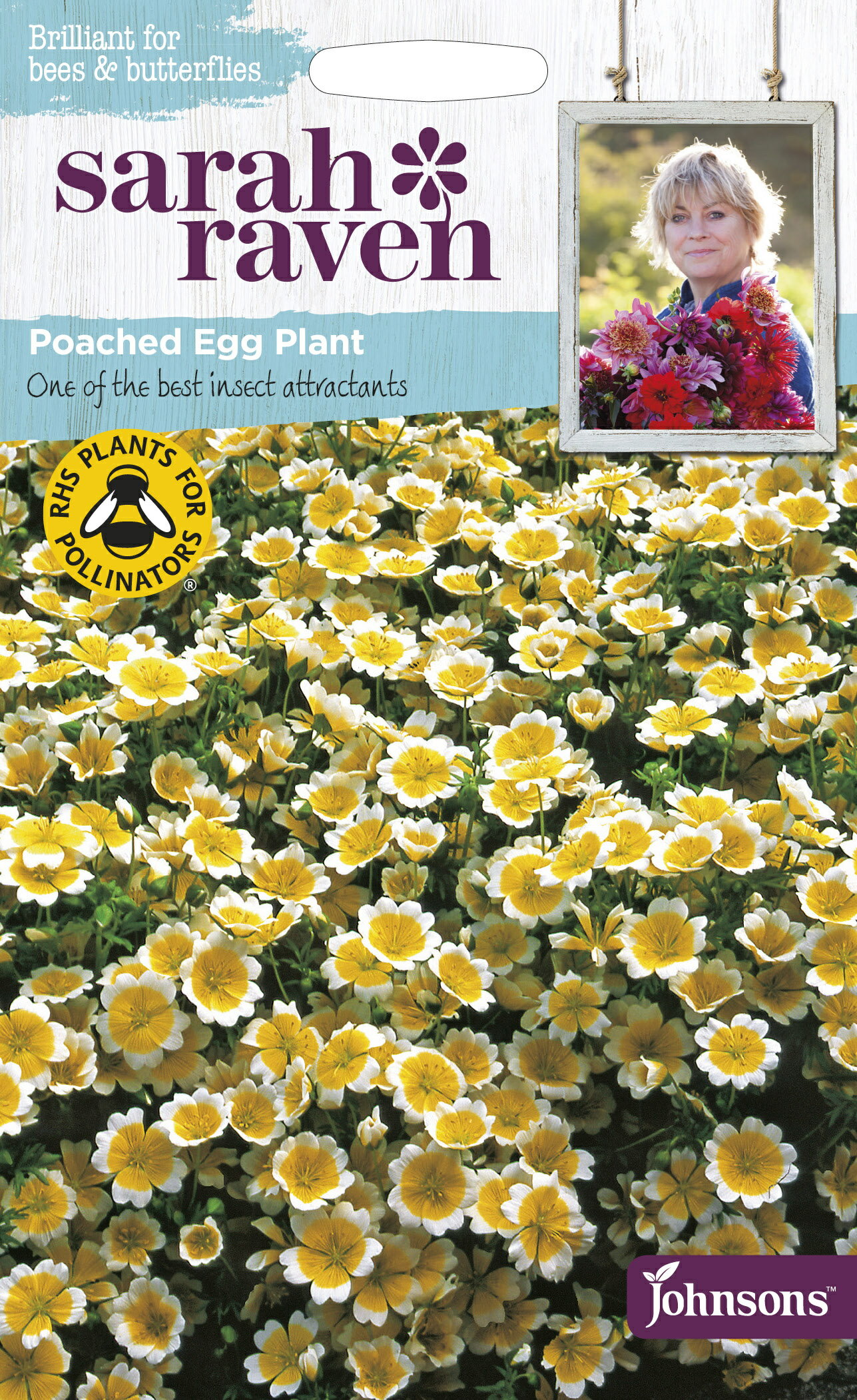 Johnsons Seeds Sarah Raven Brilliant for Bees & Butterflies Poached Egg Plant （Limnanthes douglasii）サラ・レイブン・ビー＆バタフライ ポーチド・エッグ・プラント （リムナンテス・ドゥグラシィ）ジョンソンズシード