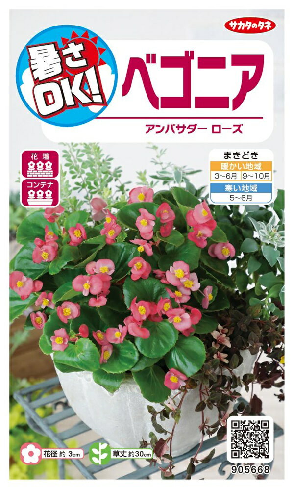 【種子】ベゴニア アンバサダーローズ サカタのタネ