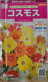 【種子】コスモス キャンパスブライトカラーミックス サカタのタネ