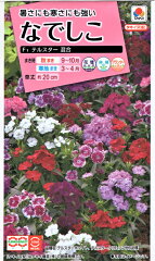 https://thumbnail.image.rakuten.co.jp/@0_mall/ivy-believe-happiness/cabinet/tane/hanatane_takii/dianthus-tellstermix.jpg