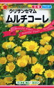 【種子】クリサンセマム ムルチコーレ トーホクのタネ