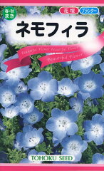 https://thumbnail.image.rakuten.co.jp/@0_mall/ivy-believe-happiness/cabinet/tane/hanatane_touhoku/nemophila.jpg