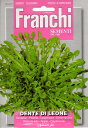 【種子】FRANCHI SEMENTI DENTE DI LEONE ダンデライオン（食用たんぽぽ）フランチ社