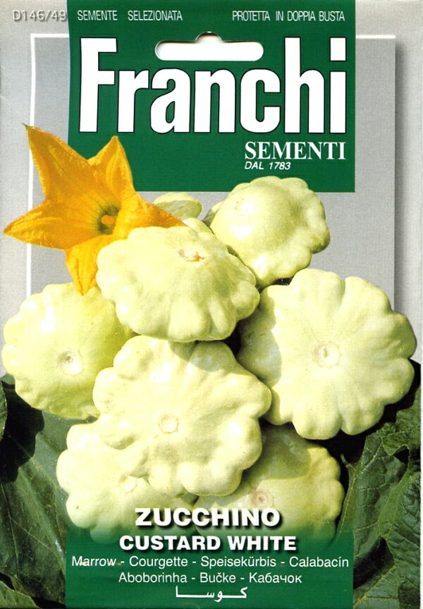 【種子】FRANCHI SEMENTI ZUCCHINO CUSTSRD WHITE UFO型ズッキーニ・カスタードホワイト フランチ社