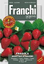 【種子】FRANCHI SEMENTI FRAGOLA QUATTRO STAGIONI四季なりイチゴ フランチ社