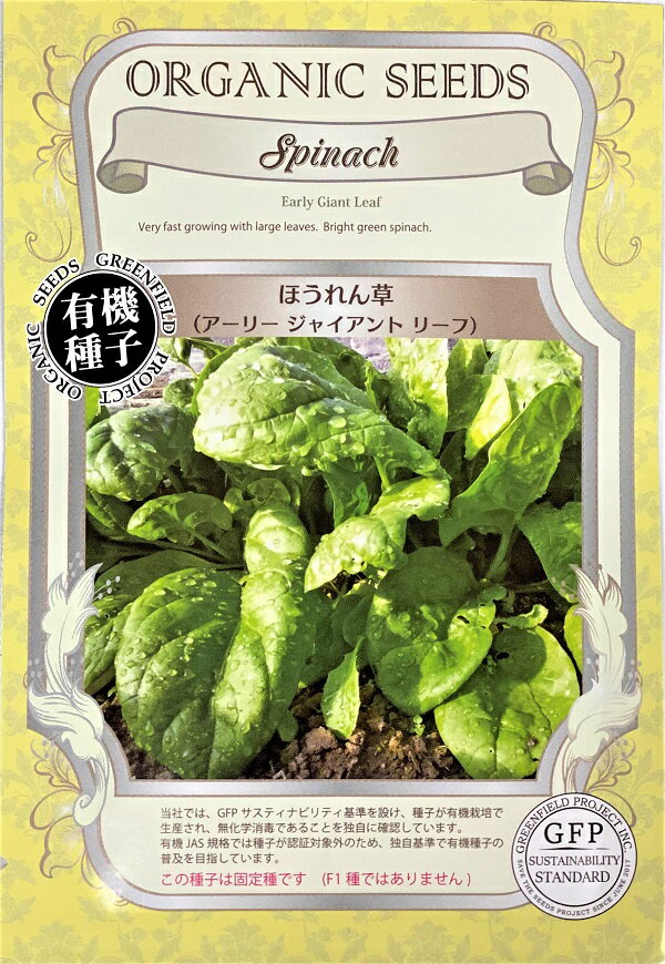 【有機種子】ほうれん草（アーリー ジャイアント リーフ）グリーンフィールドプロジェクトのタネのサムネイル