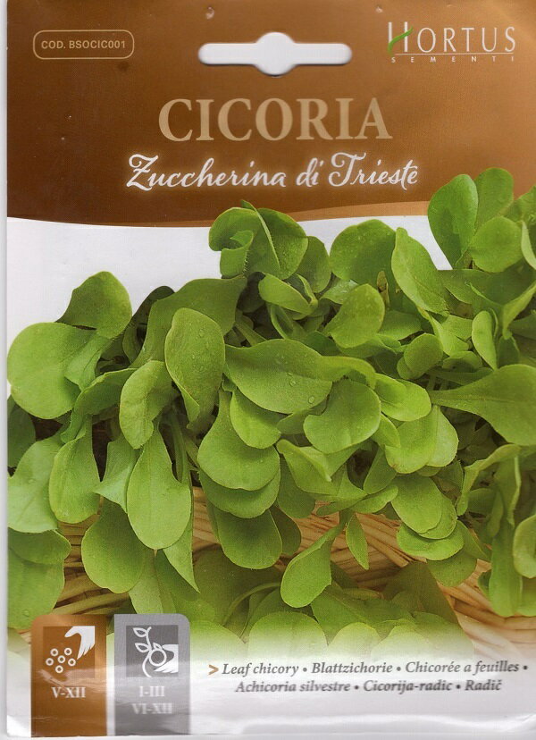 【種子】HORTUS SEMENTI CICORIA Luccherina di Trieste リーフチコリー トリエステ ホルタス社