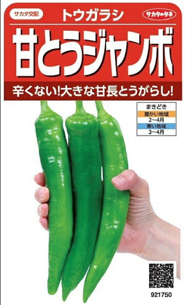 【種子】トウガラシ 甘とうジャンボ サカタのタネのサムネイル