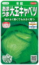 【種子】冬藍 あまうま大玉キャベツ サカタのタネ