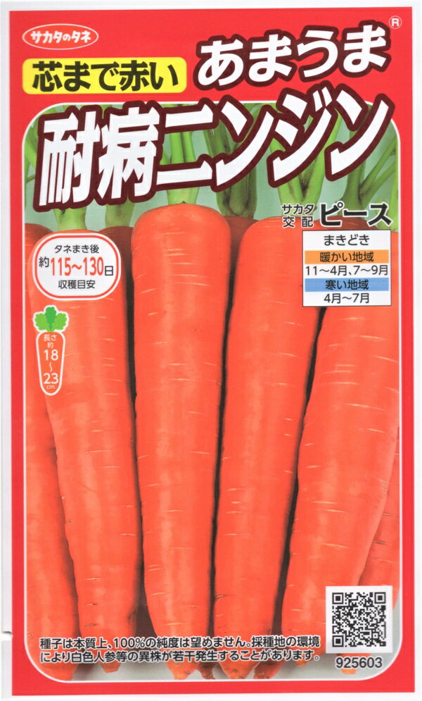 【種子】あまうま耐病ニンジン ピース サカタのタネのサムネイル