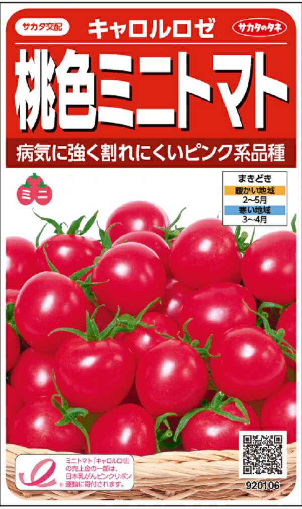 コメント： 各種の病気に強く、草姿も旺盛でスタミナがあるピンク系ミニトマトです。 裂果の発生が少ないので熟してから収穫できます。 肉質がよく、食味にすぐれます。 家庭菜園に好適です。 学名、科名： Solanum lycopersicum 　 ナス科トマト属 英名： Tomato 和名： トマト 別名： 唐柿（とうし）、赤茄子（あかなす）、蕃茄（ばんか）、 小金瓜（こがねうり） 種類： 一年草 味わい方： 生食、料理用 播種時期： 寒地・寒冷地：3月中旬〜4月中旬 温暖地：3月上旬〜4月下旬 暖地：2月下旬〜5月下旬 収穫時期： 寒地・寒冷地：7月中旬〜10月上旬 温暖地：6月下旬〜10月中旬 暖地：6月中旬〜11月中旬 発芽適温： 20〜30℃ 発芽日数： 4〜6日 播種深さ： 約1cm 生産地： タイ 内容量： 約13粒 発芽率： 約85％以上 おおよその目安です。発芽率を保証するものでは有りません。 まき方： 発芽適温(地温)を確保します。 ポットなどに2～3粒を、深さ1cmにまき、土をかけ軽く押さえます。 本葉1～2枚ころまでに1本に間引きます。 定植は最初の花が咲いたころを目安に、株間50cmで植えつけます。 育て方： 支柱を立てて、ひもで軽く結びます。 わき芽はすべてかきとります。 最終収穫目標の花房(3～5段)が咲きだしたら、主枝の先端を摘みとります。 追肥は、果実が大きくなりはじめるころから、生育を見ながら行います。 開花後35日程度で、色づき始めます。 果重は約20～25g、ミニトマトとしてはやや大きめサイズです。 株で十分にピンクに熟してから収穫します。 備考： ・この種子を直接、食用・飼料用に使用しないで下さい。 ・お子様の手の届かない所に保管下さい。 ・直射日光・湿気を避け、涼しい所で保管下さい。 ・種子は本質上100%の純度は望めません。 ・播種後の栽培条件・天候等で結果が異なります。 ・商品の成長後や収穫物に対する補償はいたしかねます。 ・独自に加工された場合は責任を負いかねますので予めご了承下さい。 ・モニターの設定等により実物と色が違って見えることがあります。 &nbsp;株式会社サカタのタネ【種子】桃色ミニトマト キャロルロゼ