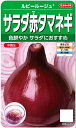 【種子】サラダ赤タマネギ ルビールージュ サカタのタネ 農林水産省品種登録 品種名:TFY-075