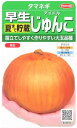 【種子】玉ねぎ 早生 夏まで貯蔵 アイドルじゅんこ サカタのタネ