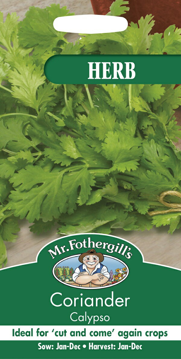 Mr.Fothergill's Seeds HERB Coriander Calypso コリアンダー・カリプソ ミスター・フォザーギルズシード