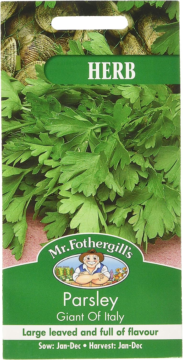 Mr.Fothergill's Seeds HERB Parsley Giant of Italy ハーブ パセリ ジャイアント・オブ・イタリー ミスター・フォザーギルズシード