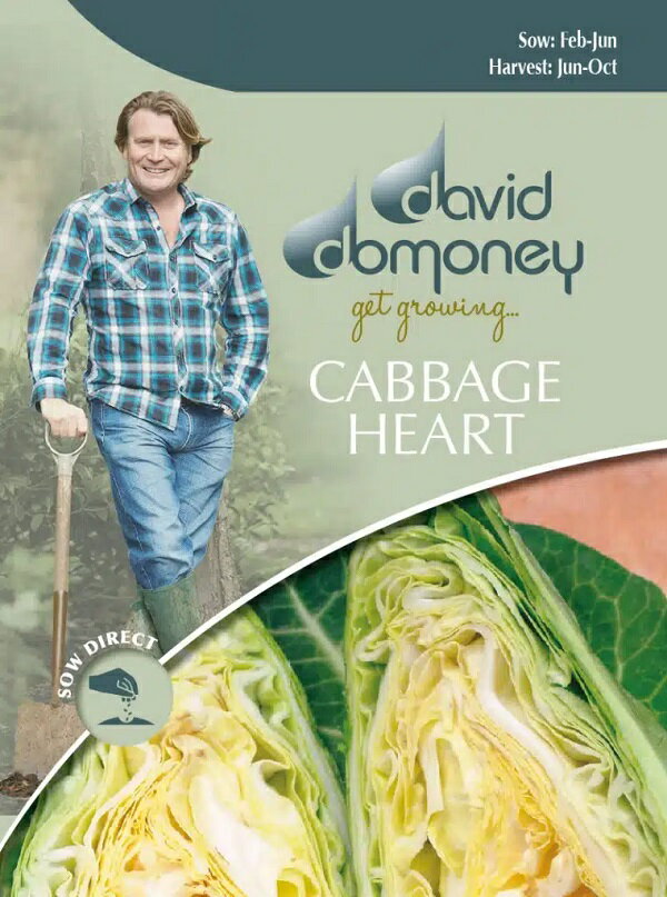 Mr.Fothergill's Seeds david domoney CABBAGE Heart Dutchman デイヴィッド・ドモニー キャベッジ ダッチマン ミスター・フォザーギルズシード