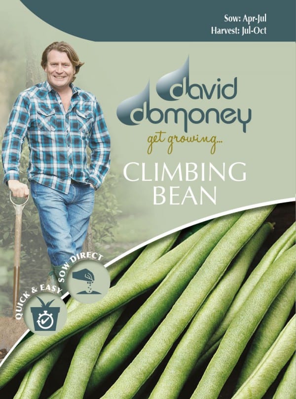 【種子】Mr.Fothergill s Seeds david domoney CLIMBING BEAN Cobra デイヴィッド・ドモニー クライミング・ビーン・コブラ ミスター・フォザーギルズシード