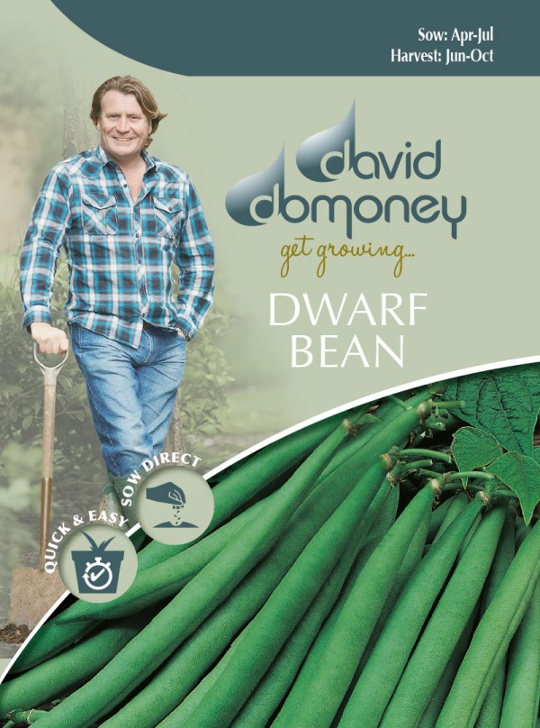 【種子】Mr.Fothergill 039 s Seeds david domoney DWARF BEAN Ferrari デイヴィッド ドモニー ドワーフ ビーン フェラーリ ミスター フォザーギルズシード