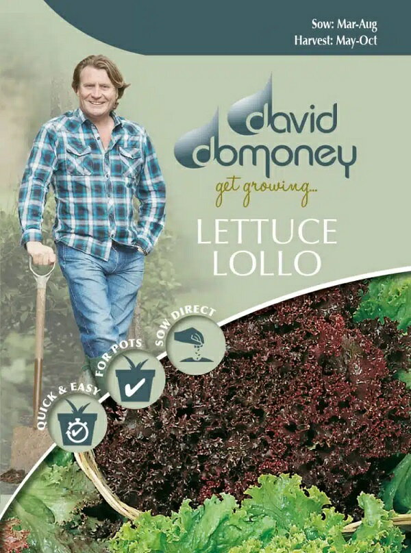 【種子】Mr.Fothergill's Seeds david domoney LETTUCE Lollo Mixed デイヴィッド・ドモニー レタス ロロ・ミックス ミスター・フォザーギルズシード