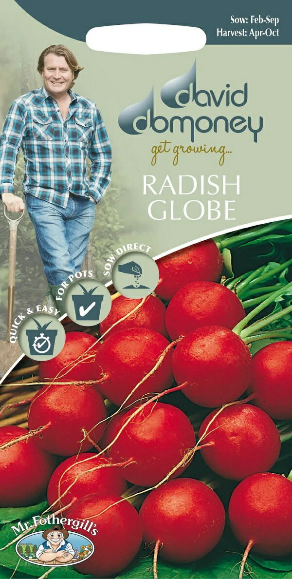 ڼҡMr.Fothergill's Seeds david domoney RADISH Lucia F1 ǥåɡɥˡ ǥå 륷 ߥե륺