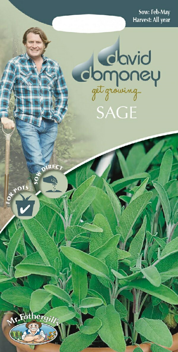 Mr.Fothergill's Seeds david domoney SAGE デイヴィッド・ドモニー セージ ミスター・フォザーギルズシード