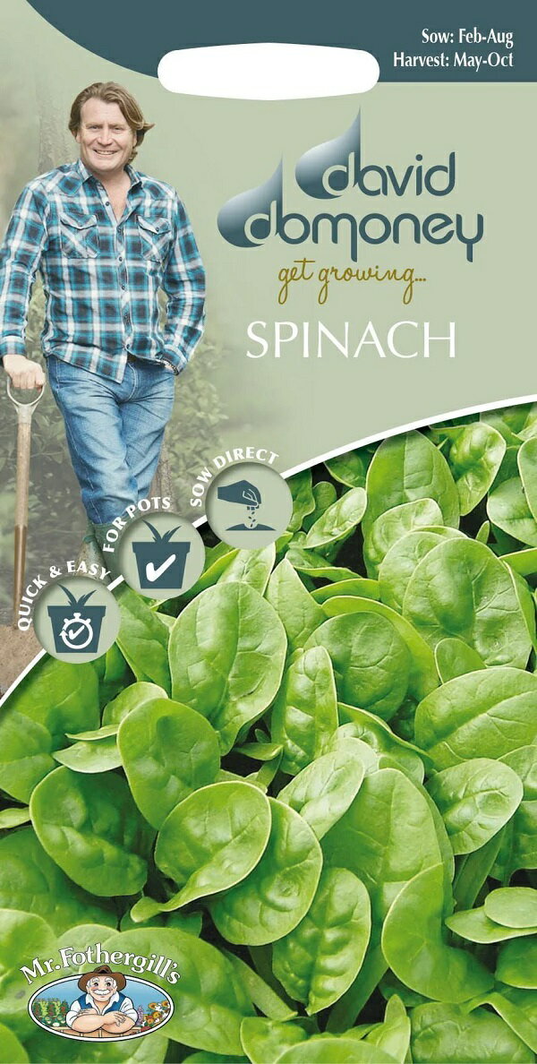 【種子】Mr.Fothergill s Seeds david domoney SPINACH Emilia F1 デイヴィッド・ドモニー スピナッチ エミリア ミスター・フォザーギルズシード