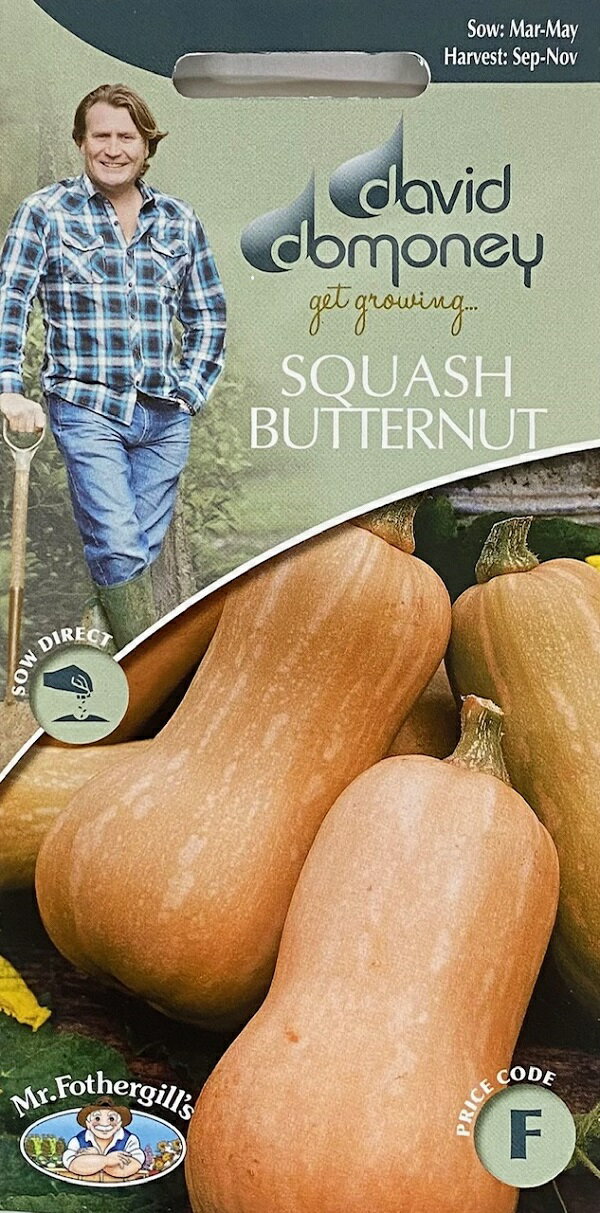 【種子】Mr.Fothergill's Seeds david domoney SQUASH (Butternut) Butterfly F1 デイヴィッド・ドモニ..