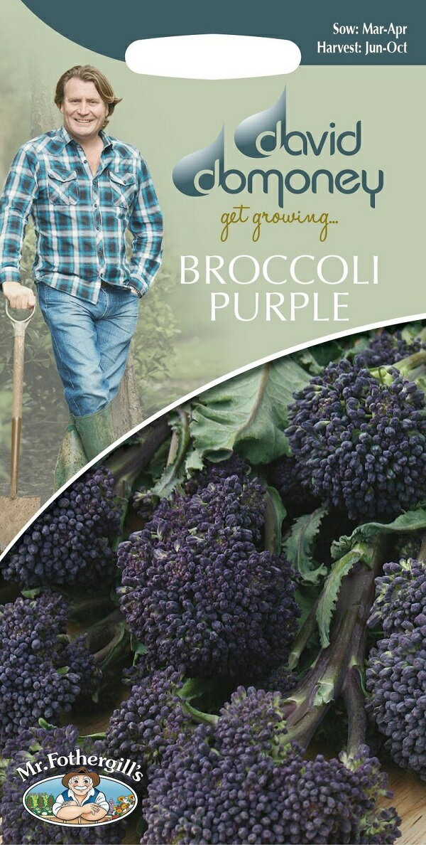 【種子】Mr.Fothergill's Seeds david domoney BROCCOLI (Sprouting) Summer Purple デイヴィッド・ドモニー ブロッコリー サマー パープル ミスター・フォザーギルズシード