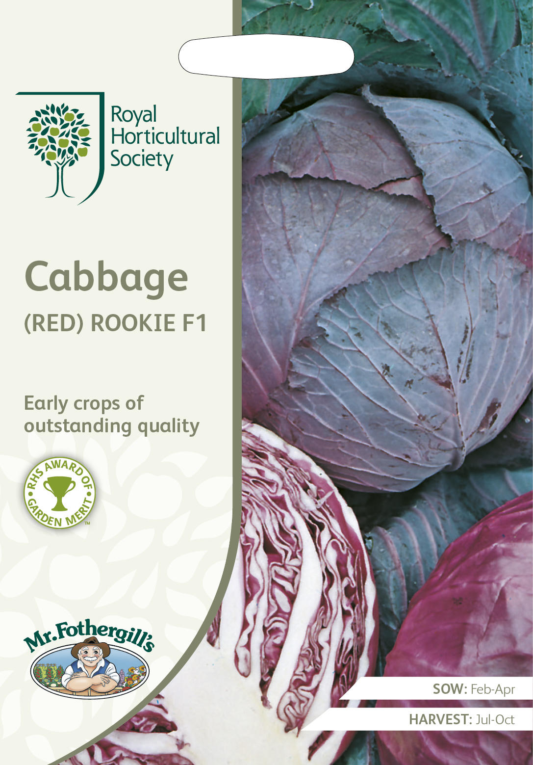 Mr.Fothergill's Seeds Royal Horticultural Society Cabbage(RED) ROOKIE F1 RHS キャベッジ(レッド) ルーキー F1 ミスター・フォザーギルズシード