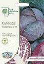 Mr.Fothergill's Seeds Royal Horticultural Society Cabbage(RED) ROOKIE F1 RHS キャベッジ(レッド) ルーキー F1 ミスター・フォザーギルズシード