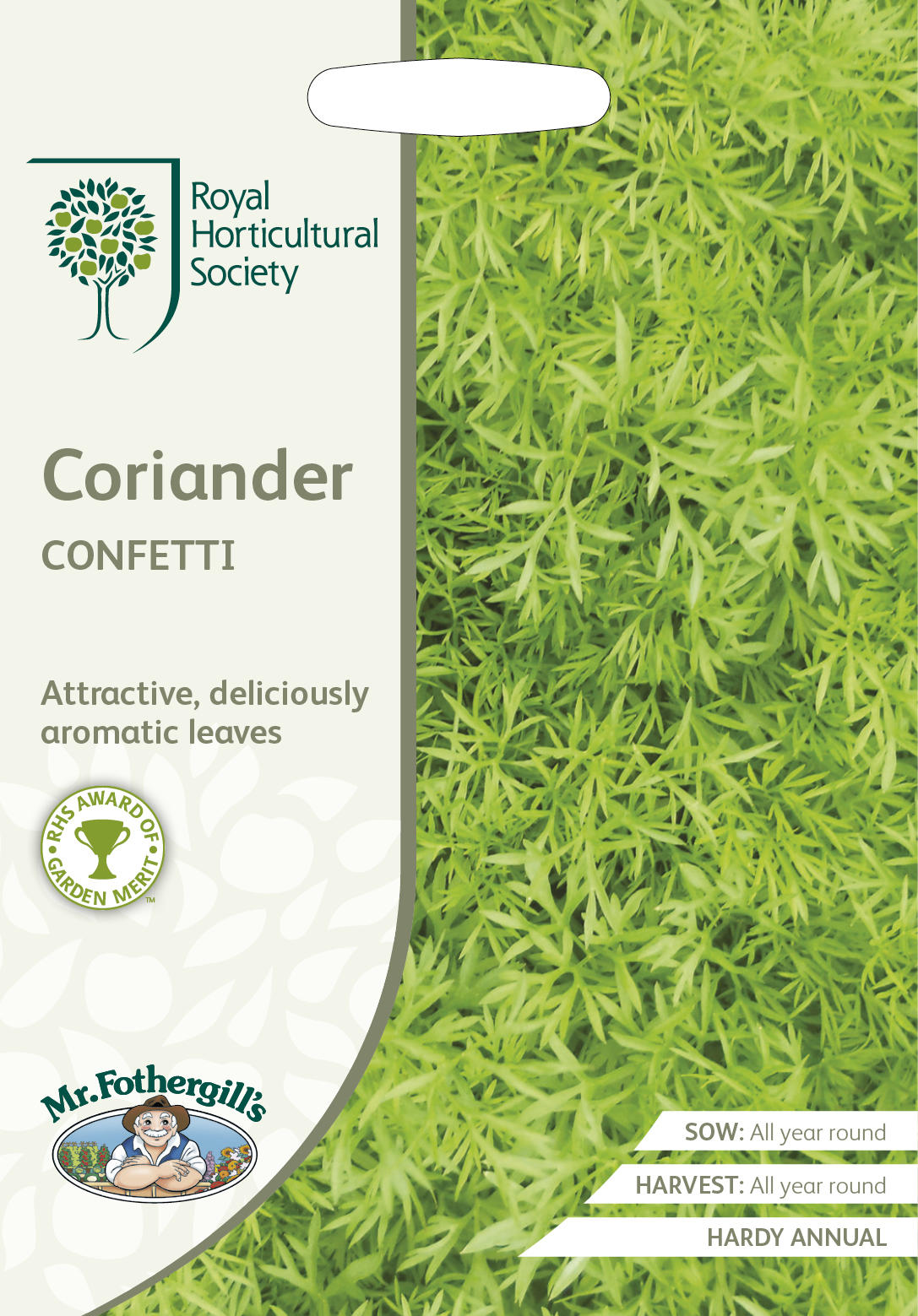 ڼҡMr.Fothergill's Seeds Royal Horticultural Society Coriander CONFETTI RHS ꥢ եƥ ߥե륺