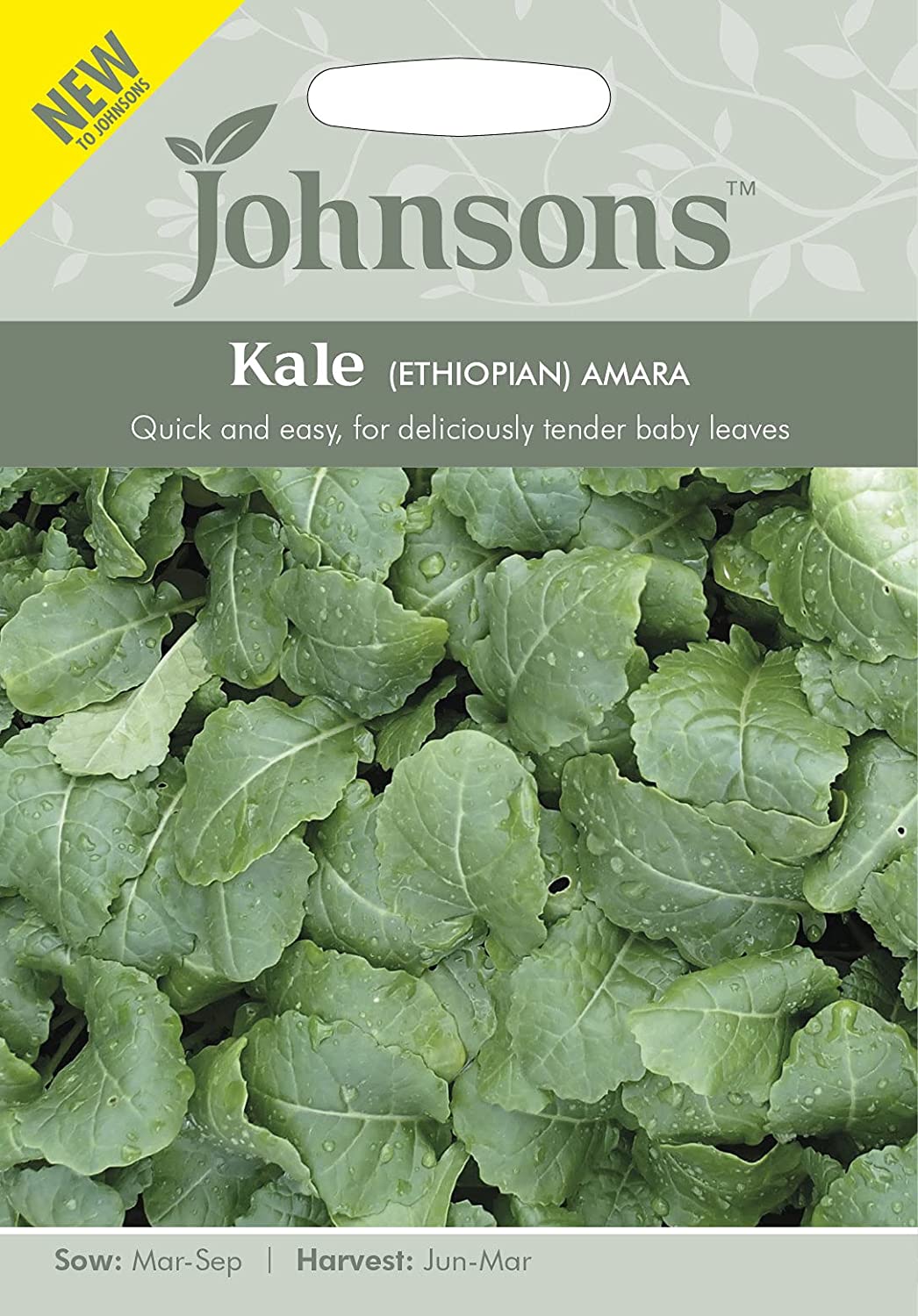 Johnsons Seeds Kale (ETHIOPIAN) AMARA ケール (エチオピアン) アマラ ジョンソンズシード