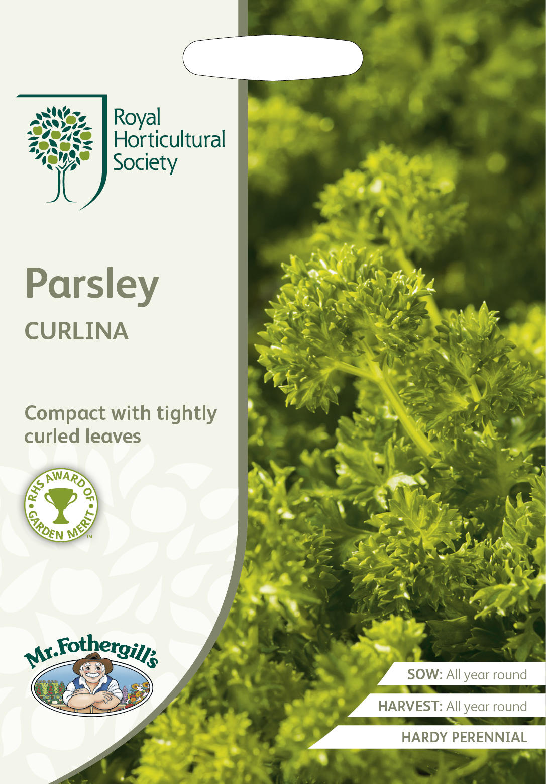 【種子】Mr.Fothergill's Seeds Royal Horticultural Society Parsley CURLINA RHS パセリ カリーナ ミスター・フォザーギルズシード