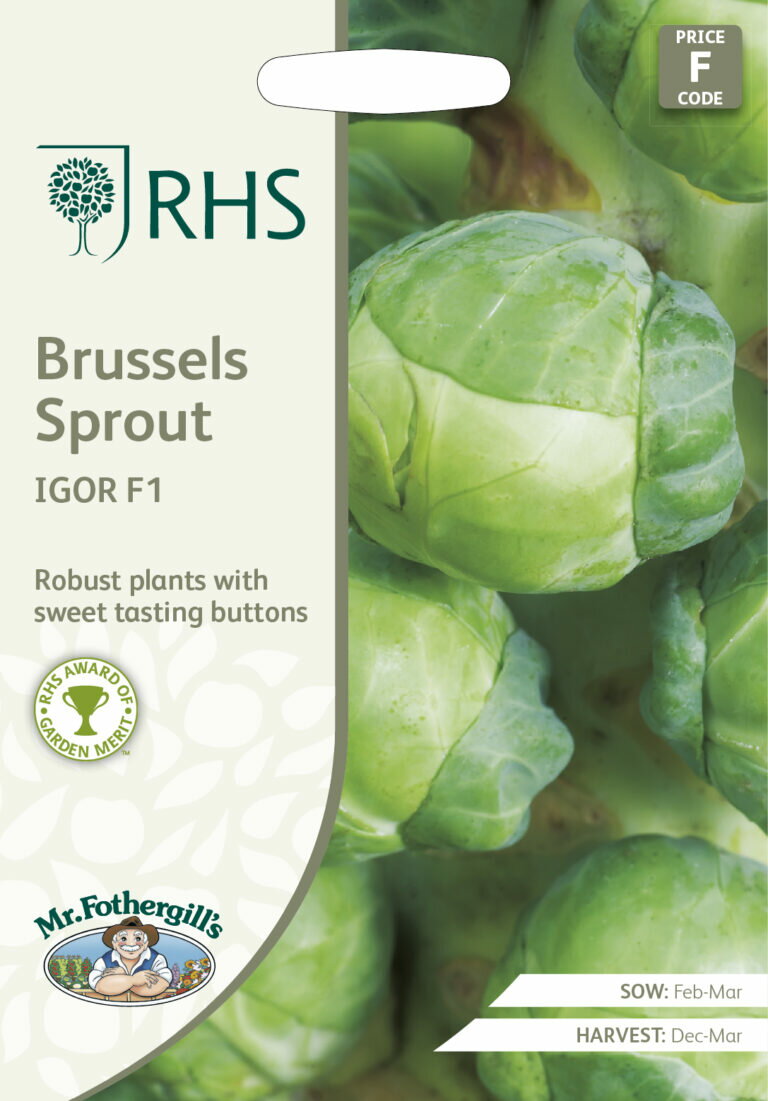 Mr.Fothergill's Seeds Royal Horticultural Society Brussels Sprout IGOR F1 RHS ブリュッセル・スプラウト イゴール F1 ミスター・フォザーギルズシード