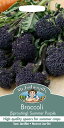 Mr.Fothergill's Seeds Broccoli (Sprouting) Summer Purple ブロッコリー サマー・パープル ミスターフォザーギルズ