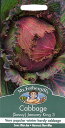 yqzMr.Fothergill's Seeds Cabbage January King 3 LxbWiTHCjEWjA[ELOE3 ~X^[EtHU[MYV[h