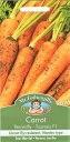 yqzMr.Fothergill's Seeds Carrot Resistafly-Tozresis F1 Lbg WX^tC-gYVXEF1 ~X^[EtHU[MYV[h