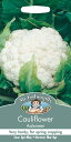 【種子】Mr.Fothergill's Seeds Cauliflower Aalsmeer カリフラワー アールスメール ミスター・フォザーギルズシード