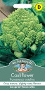 Mr.Fothergill's Seeds Cauliflower Romanesco Natalino カリフラワー・ロマネスコ・ナタリノ ミスター・フォザーギルズシード